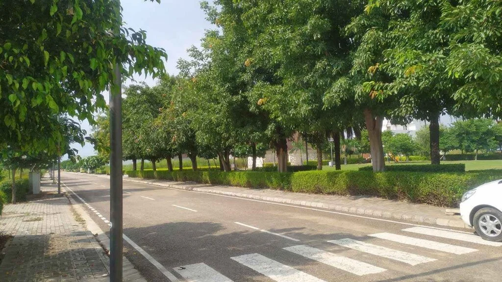 gallery-17-sept-2020-05-75d3155ea1d3d1aaae74c7291aeee4b4e6971018ea63abe0ffdb663241d5364d-1024x576